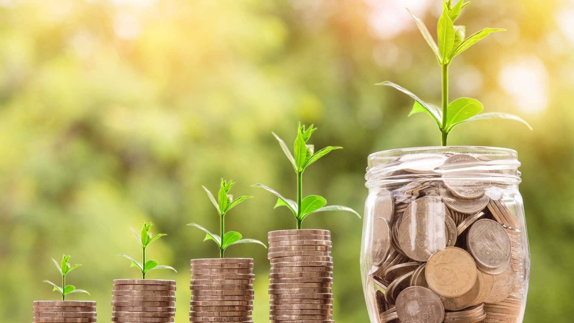 If you want to know how to be successful in every investment, grab a pen and let your angel conduct your finances.